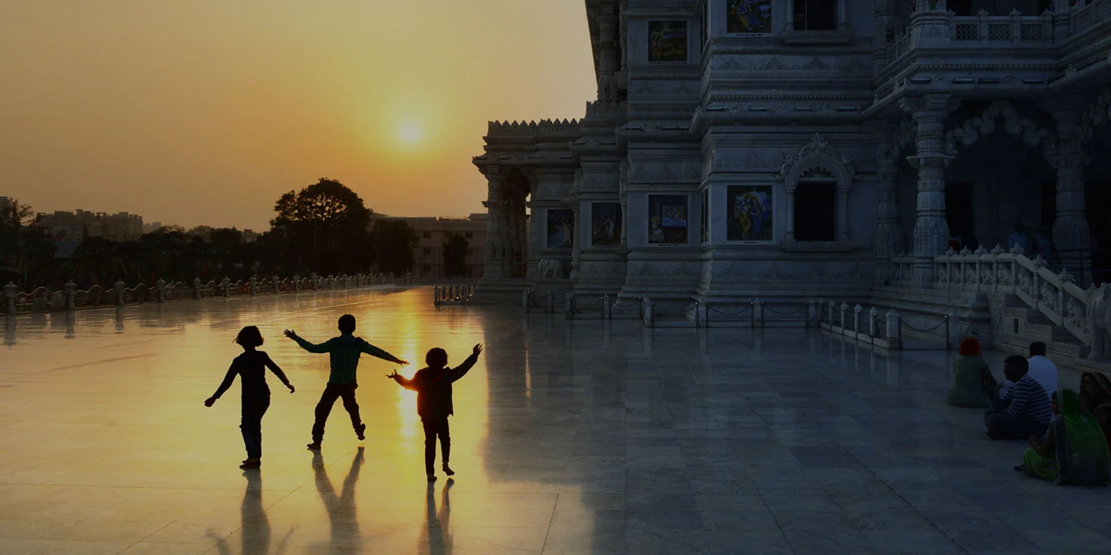 Sadhu on boat with gulls